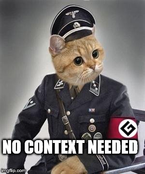 Grammar Nazi Cat | NO CONTEXT NEEDED | image tagged in grammar nazi cat | made w/ Imgflip meme maker