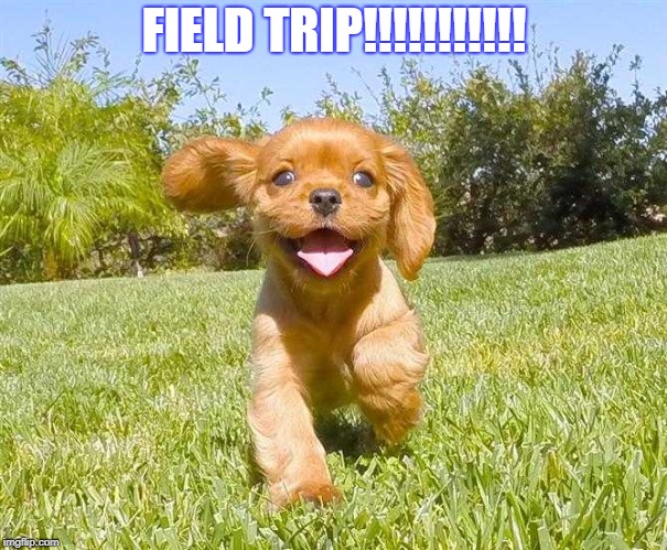 Puppy | FIELD TRIP!!!!!!!!!!! | image tagged in puppy | made w/ Imgflip meme maker