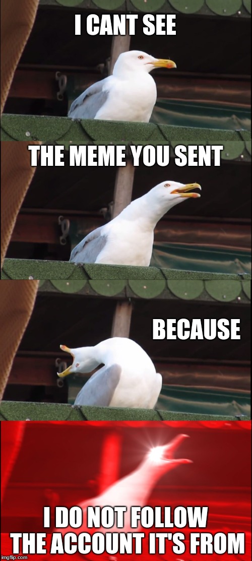 Inhaling Seagull | I CANT SEE; THE MEME YOU SENT; BECAUSE; I DO NOT FOLLOW THE ACCOUNT IT'S FROM | image tagged in memes,inhaling seagull | made w/ Imgflip meme maker