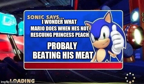 Sonic Says | I WONDER WHAT MARIO DOES WHEN HES NOT RESCUING PRINCESS PEACH; PROBALY BEATING HIS MEAT | image tagged in sonic says | made w/ Imgflip meme maker