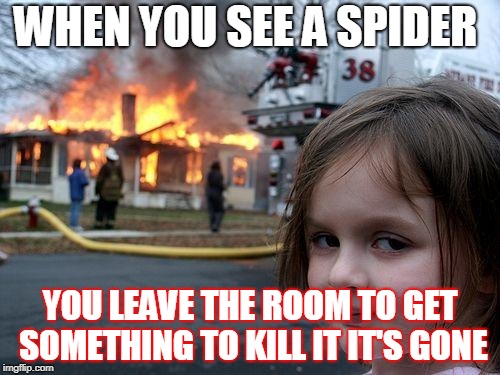 Disaster Girl | WHEN YOU SEE A SPIDER; YOU LEAVE THE ROOM TO GET SOMETHING TO KILL IT IT'S GONE | image tagged in memes,disaster girl | made w/ Imgflip meme maker