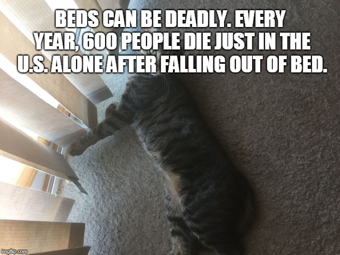 WHEN YOU LAYIN DOWN | BEDS CAN BE DEADLY. EVERY YEAR, 600 PEOPLE DIE JUST IN THE U.S. ALONE AFTER FALLING OUT OF BED. | image tagged in when you layin down | made w/ Imgflip meme maker