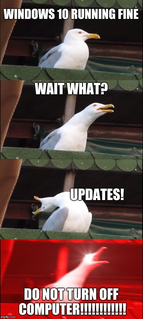 Inhaling Seagull | WINDOWS 10 RUNNING FINE; WAIT WHAT? UPDATES! DO NOT TURN OFF COMPUTER!!!!!!!!!!!! | image tagged in memes,inhaling seagull | made w/ Imgflip meme maker