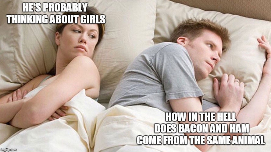 He's probably thinking about girls | HE'S PROBABLY THINKING ABOUT GIRLS; HOW IN THE HELL DOES BACON AND HAM COME FROM THE SAME ANIMAL | image tagged in he's probably thinking about girls | made w/ Imgflip meme maker