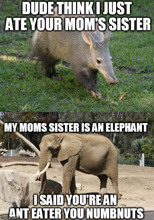 DUDE THINK I JUST ATE YOUR MOM'S SISTER MY MOMS SISTER IS AN ELEPHANT I SAID YOU'RE AN ANT EATER YOU NUMBNUTS | made w/ Imgflip meme maker