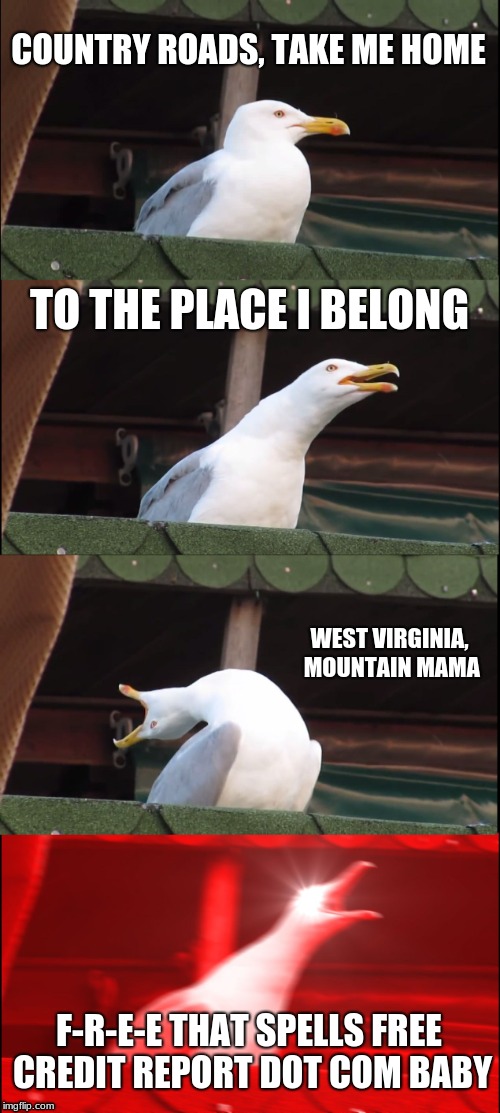 If you don't know the ad you're probably 13 | COUNTRY ROADS, TAKE ME HOME; TO THE PLACE I BELONG; WEST VIRGINIA, MOUNTAIN MAMA; F-R-E-E THAT SPELLS FREE CREDIT REPORT DOT COM BABY | image tagged in memes,inhaling seagull,west virginia,country music,credit | made w/ Imgflip meme maker