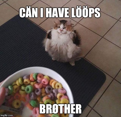 Loops Brother | CÄN I HAVE LÖÖPS; BRØTHER | image tagged in loops brother | made w/ Imgflip meme maker
