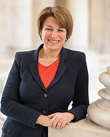 Amy Klobuchar Blank Meme Template