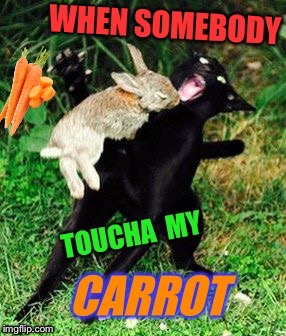 image tagged in somebody toucha my spaghet,funny cat memes,monty python,warning killer cat,killer rabbit,monty python and the holy grail | made w/ Imgflip meme maker