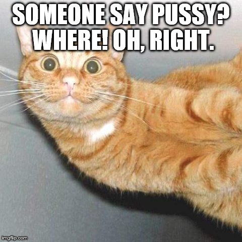 SOMEONE SAY PUSSY? WHERE! OH, RIGHT. | made w/ Imgflip meme maker