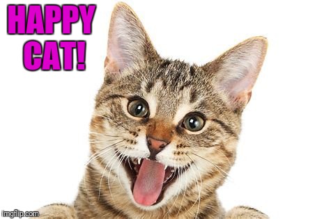 HAPPY CAT! | made w/ Imgflip meme maker