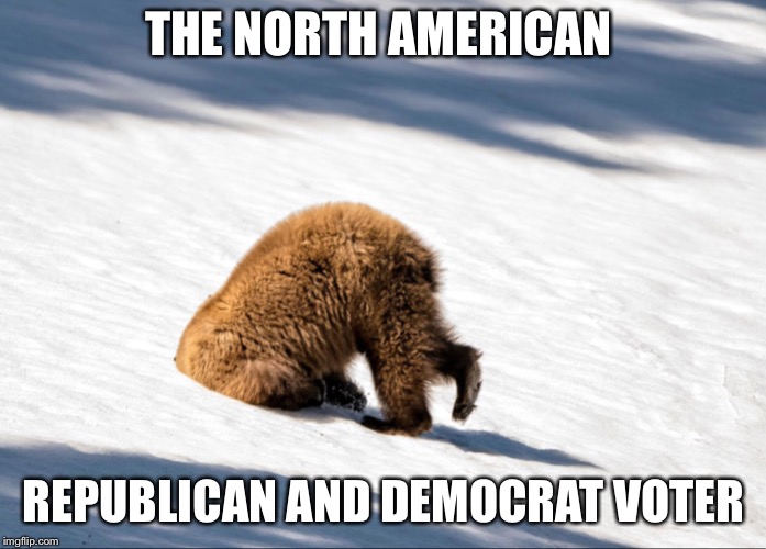 Yogi Bear | THE NORTH AMERICAN; REPUBLICAN AND DEMOCRAT VOTER | image tagged in yogi bear | made w/ Imgflip meme maker