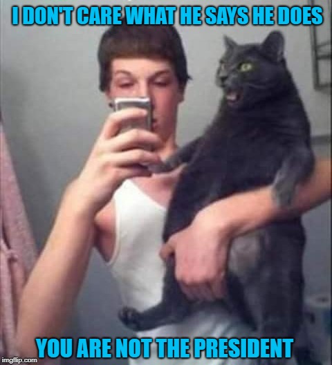 Stranger Danger!!! | I DON'T CARE WHAT HE SAYS HE DOES; YOU ARE NOT THE PRESIDENT | image tagged in cat,memes,trump,funny,kitty surprise,grab 'em by the | made w/ Imgflip meme maker