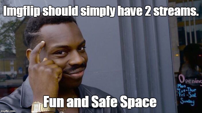 Simplicity That Everyone Would Enjoy! | Imgflip should simply have 2 streams. Fun and Safe Space | image tagged in memes,roll safe think about it,imgflip streams | made w/ Imgflip meme maker