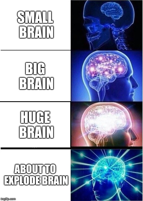 Givin the BRAIN of smarts | SMALL BRAIN; BIG BRAIN; HUGE BRAIN; ABOUT TO EXPLODE BRAIN | image tagged in memes,expanding brain | made w/ Imgflip meme maker