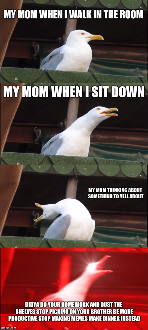 Inhaling Seagull | MY MOM WHEN I WALK IN THE ROOM; MY MOM WHEN I SIT DOWN; MY MOM THINKING ABOUT SOMETHING TO YELL ABOUT; DIDYA DO YOUR HOMEWORK AND DUST THE SHELVES STOP PICKING ON YOUR BROTHER BE MORE PRODUCTIVE STOP MAKING MEMES MAKE DINNER INSTEAD | image tagged in memes,inhaling seagull | made w/ Imgflip meme maker