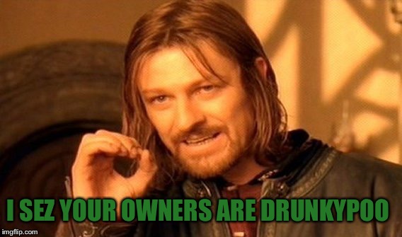 One Does Not Simply Meme | I SEZ YOUR OWNERS ARE DRUNKYPOO | image tagged in memes,one does not simply | made w/ Imgflip meme maker