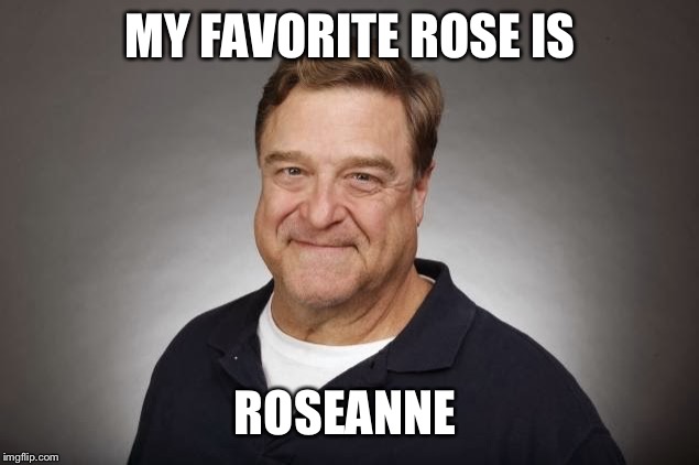 Roseanne | MY FAVORITE ROSE IS; ROSEANNE | image tagged in john goodman,roseanne | made w/ Imgflip meme maker