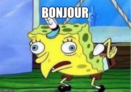 Mocking Spongebob Meme | BONJOUR | image tagged in memes,mocking spongebob | made w/ Imgflip meme maker