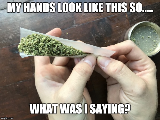 MY HANDS LOOK LIKE THIS SO..... WHAT WAS I SAYING? | image tagged in memes,weed,marijuana,funny | made w/ Imgflip meme maker