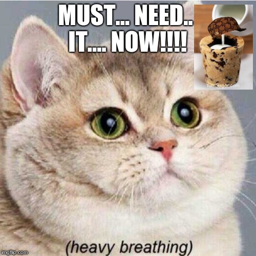 MUST... NEED.. IT.... NOW!!!! | image tagged in fat cat | made w/ Imgflip meme maker