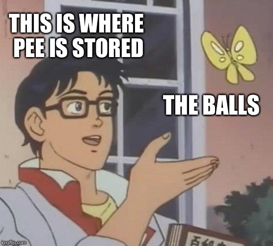 THIS IS WHERE PEE IS STORED THE BALLS | image tagged in memes,is this a pigeon | made w/ Imgflip meme maker