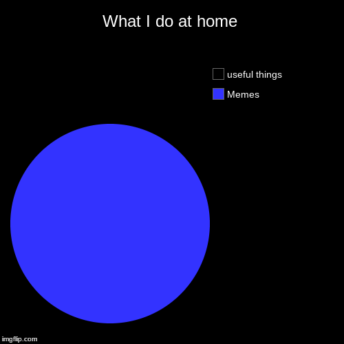 What I do at home | Memes, useful things | image tagged in funny,pie charts | made w/ Imgflip chart maker