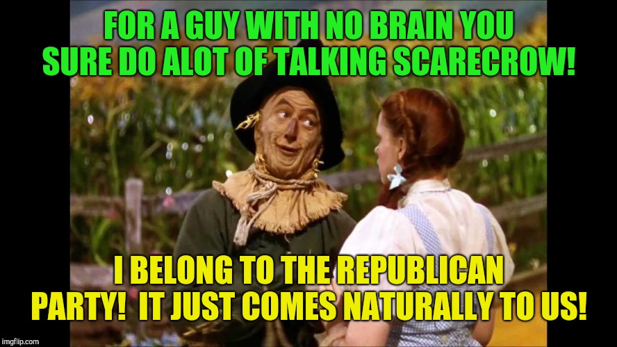 That explains soooo much! | FOR A GUY WITH NO BRAIN YOU SURE DO ALOT OF TALKING SCARECROW! I BELONG TO THE REPUBLICAN PARTY!  IT JUST COMES NATURALLY TO US! | image tagged in wizard of oz scarecrow,wizard of oz,republicans,donald trump,base | made w/ Imgflip meme maker