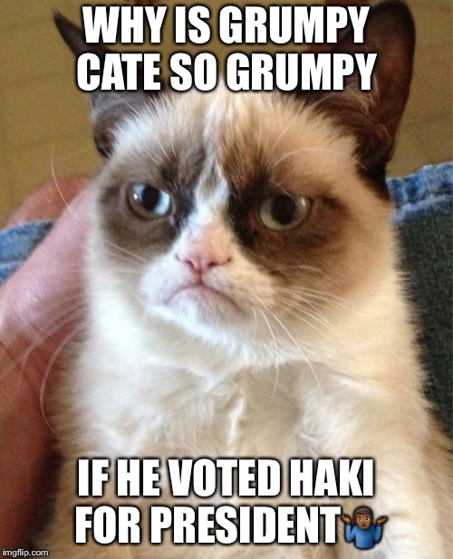 Grumpy Cat | WHY IS GRUMPY CATE SO GRUMPY; IF HE VOTED HAKI FOR PRESIDENT🤷🏾‍♂️ | image tagged in memes,grumpy cat | made w/ Imgflip meme maker