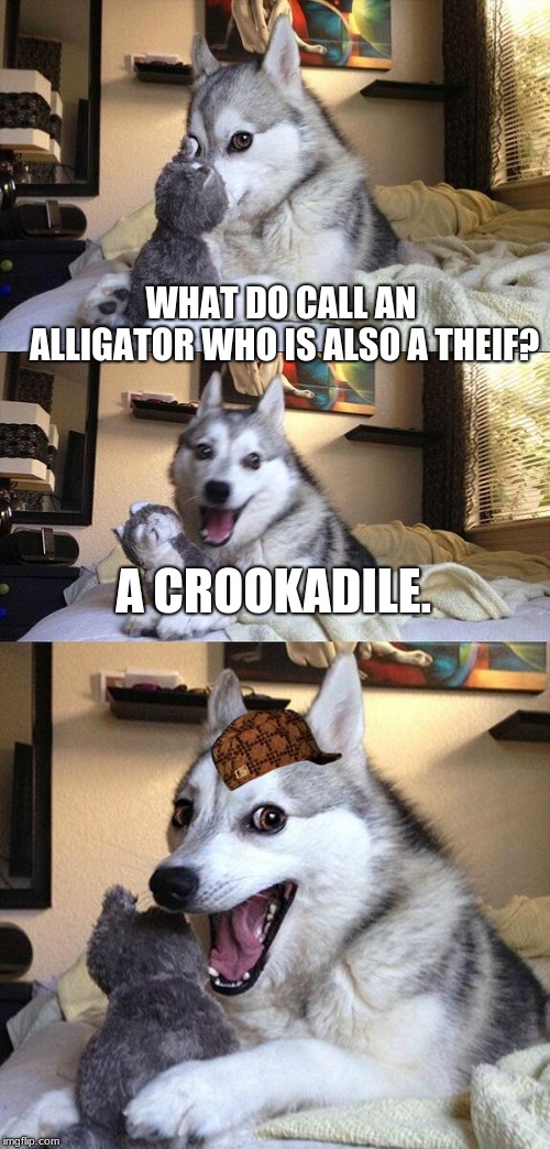 Bad Pun Dog | WHAT DO CALL AN ALLIGATOR WHO IS ALSO A THEIF? A CROOKADILE. | image tagged in memes,bad pun dog,scumbag | made w/ Imgflip meme maker