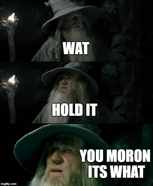 Confused Gandalf | WAT; HOLD IT; YOU MORON ITS WHAT | image tagged in memes,confused gandalf | made w/ Imgflip meme maker