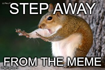 STEP AWAY; FROM THE MEME | image tagged in stop_squirrel | made w/ Imgflip meme maker