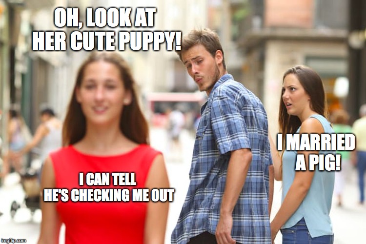 Distracted Boyfriend | OH, LOOK AT HER CUTE PUPPY! I MARRIED A PIG! I CAN TELL HE'S CHECKING ME OUT | image tagged in memes,distracted boyfriend | made w/ Imgflip meme maker