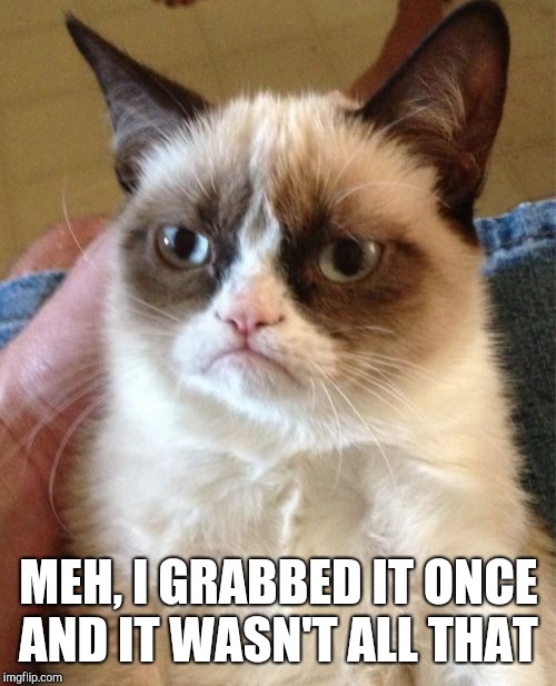 Grumpy Cat Meme | MEH, I GRABBED IT ONCE AND IT WASN'T ALL THAT | image tagged in memes,grumpy cat | made w/ Imgflip meme maker