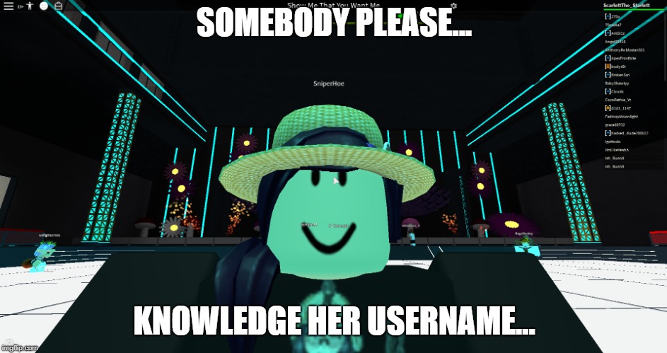 Roblox | SOMEBODY PLEASE... KNOWLEDGE HER USERNAME... | image tagged in roblox,roblox meme | made w/ Imgflip meme maker