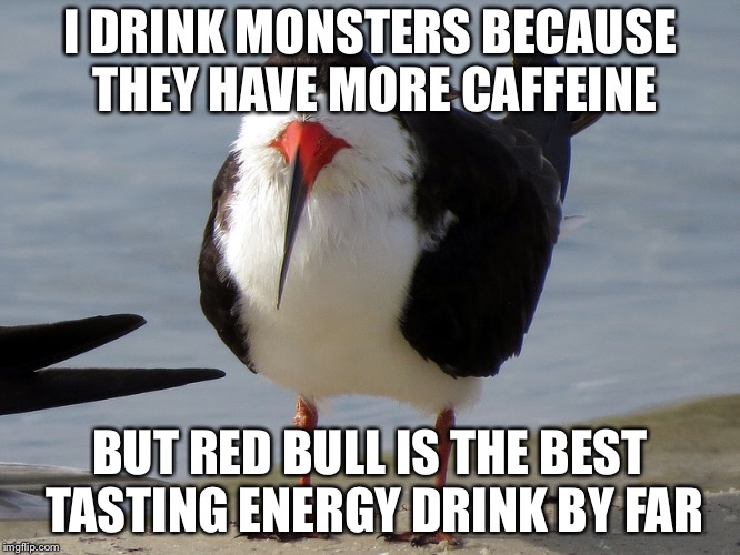 Even Less Popular Opinion Bird | I DRINK MONSTERS BECAUSE THEY HAVE MORE CAFFEINE BUT RED BULL IS THE BEST TASTING ENERGY DRINK BY FAR | image tagged in even less popular opinion bird | made w/ Imgflip meme maker