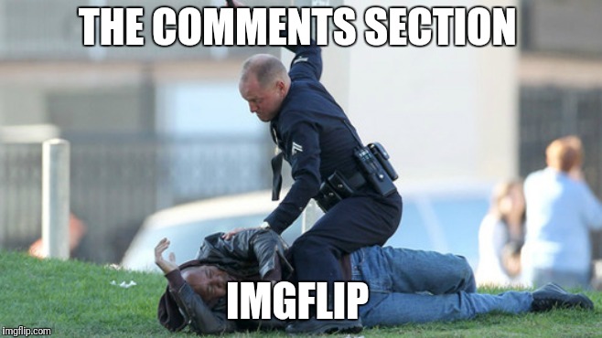 Cop Beating | THE COMMENTS SECTION; IMGFLIP | image tagged in cop beating | made w/ Imgflip meme maker