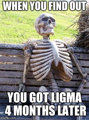 Waiting Skeleton | WHEN YOU FIND OUT; YOU GOT LIGMA 4 MONTHS LATER | image tagged in memes,waiting skeleton | made w/ Imgflip meme maker