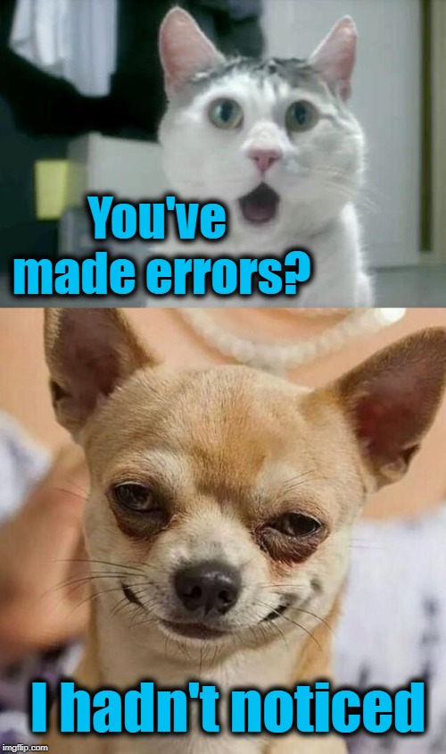 I hadn't noticed You've made errors? | made w/ Imgflip meme maker