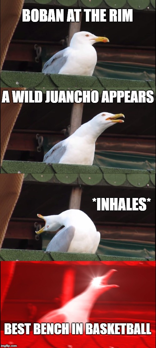 Inhaling Seagull Meme | BOBAN AT THE RIM; A WILD JUANCHO APPEARS; *INHALES*; BEST BENCH IN BASKETBALL | image tagged in memes,inhaling seagull,denvernuggets | made w/ Imgflip meme maker