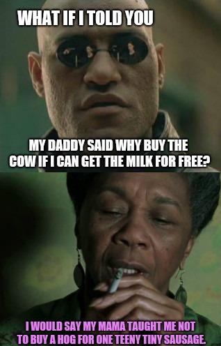 Morpheus, what if? | WHAT IF I TOLD YOU; MY DADDY SAID WHY BUY THE COW IF I CAN GET THE MILK FOR FREE? I WOULD SAY MY MAMA TAUGHT ME NOT TO BUY A HOG FOR ONE TEENY TINY SAUSAGE. | image tagged in humor,morpheus what if? | made w/ Imgflip meme maker