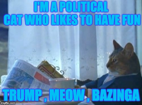 3 possible imgflip categories | I'M A POLITICAL CAT WHO LIKES TO HAVE FUN; TRUMP , MEOW , BAZINGA | image tagged in memes,i should buy a boat cat | made w/ Imgflip meme maker