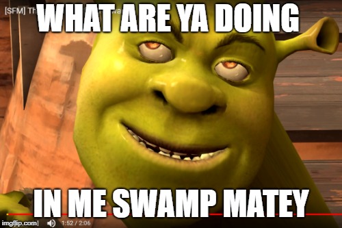 WHAT ARE YA DOING; IN ME SWAMP MATEY | image tagged in shrek | made w/ Imgflip meme maker