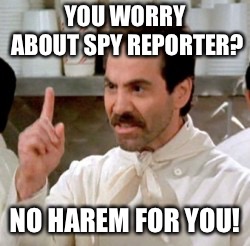 Soup Nazi | YOU WORRY ABOUT SPY REPORTER? NO HAREM FOR YOU! | image tagged in soup nazi | made w/ Imgflip meme maker