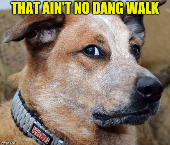 THAT AIN'T NO DANG WALK | made w/ Imgflip meme maker