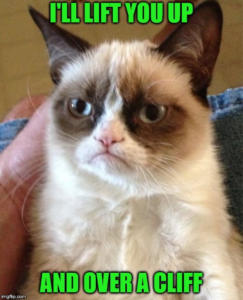 Grumpy Cat Meme | I'LL LIFT YOU UP AND OVER A CLIFF | image tagged in memes,grumpy cat | made w/ Imgflip meme maker