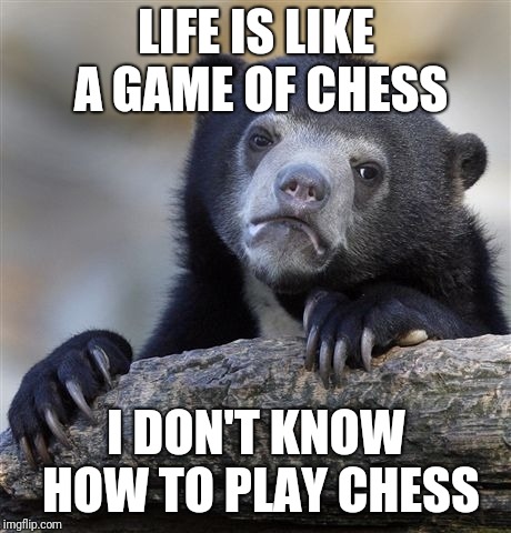 Confession Bear | LIFE IS LIKE A GAME OF CHESS; I DON'T KNOW HOW TO PLAY CHESS | image tagged in memes,confession bear | made w/ Imgflip meme maker