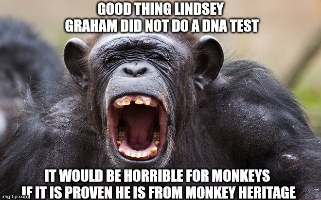 GOOD THING LINDSEY GRAHAM DID NOT DO A DNA TEST; IT WOULD BE HORRIBLE FOR MONKEYS IF IT IS PROVEN HE IS FROM MONKEY HERITAGE | made w/ Imgflip meme maker