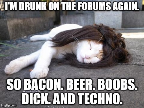 I'M DRUNK ON THE FORUMS AGAIN. SO BACON. BEER. BOOBS. DICK. AND TECHNO. | made w/ Imgflip meme maker