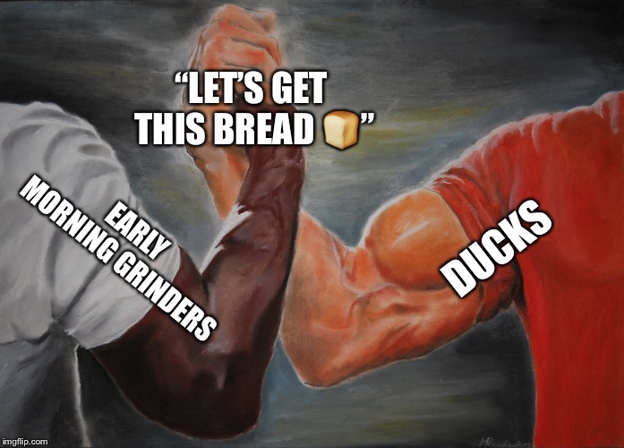 Epic Handshake | “LET’S GET THIS BREAD 🍞”; DUCKS; EARLY MORNING GRINDERS | image tagged in epic handshake | made w/ Imgflip meme maker